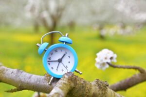 Spring Forward Your IT